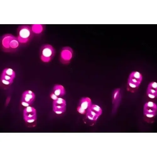 70 Lights, 4" Spacing, Pink, Led 5mm Professional Grade String Lights