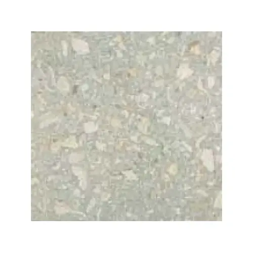24x24x1.5 Gry Shellstone Coping Gray