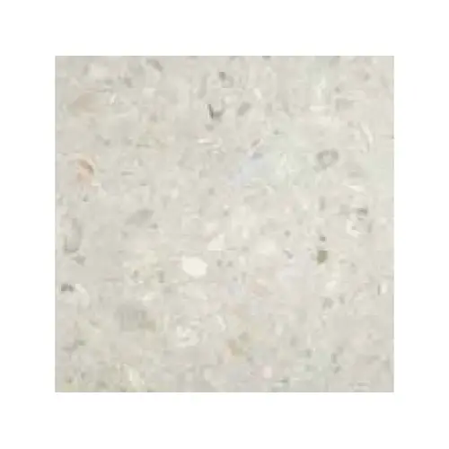 24x24x1.5 White Shellstone Coping