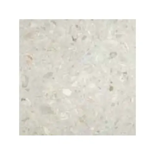 24x24x1.5 White Shellstone Paver 24x24x1.5 White Shellstone Paver