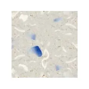 Matrix Z C242415SWBN-02 24x24x1.5 Wht W/ 02 Azure Glasstone Coping