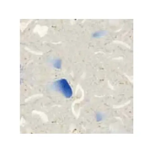 24x24x1.5 Wht W/ 02 Azure Glasstone Coping 24x24x1.5 Wht W/ 02 Azure Glasstone Coping