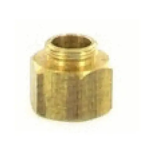 Aqualine Shrub Adap Brass .5" Fptxnoz