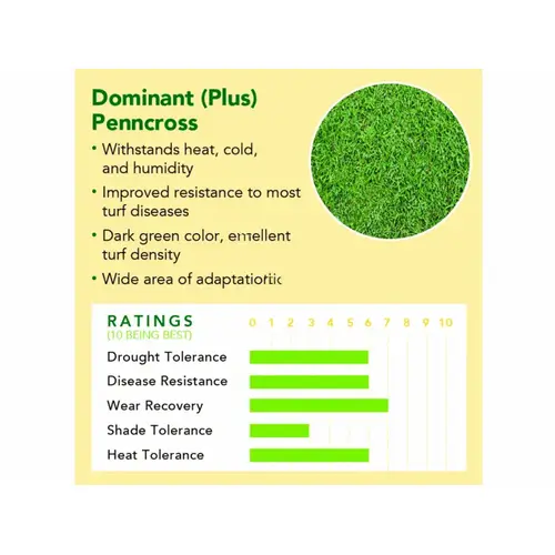 Bentgrass 1 Delta Bluegrass 1# Native Bentgrass Seed Bentgrass 1 Delta Bluegrass 1# Native Bentgrass Seed