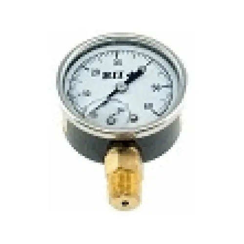 100psi Econo Pressure Gauge