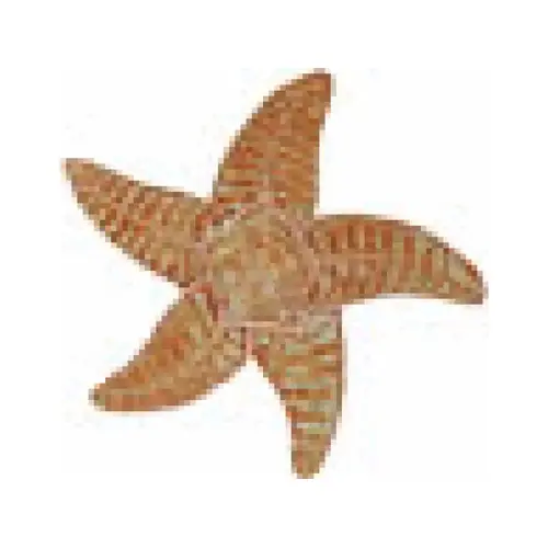9" Starfish Brown 9" Starfish Brown