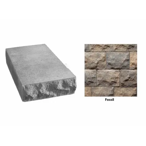 1fossil Beige Belair Cap