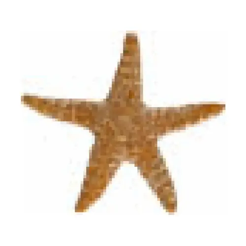 5" Starfish Brown 5" Starfish Brown