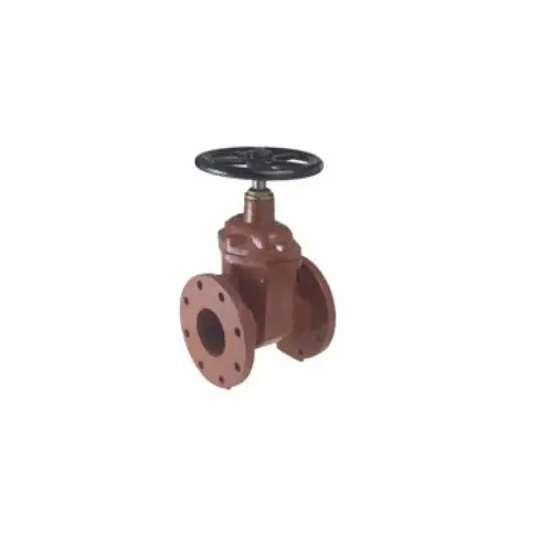 2" Di Flange Gate Valve C-515