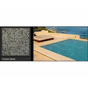 Florida Stucco GM FS 80 Lbs French Silver Gem Finish