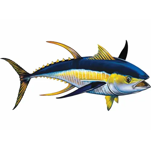 15" Yellowfin Tuna 15" Yellowfin Tuna