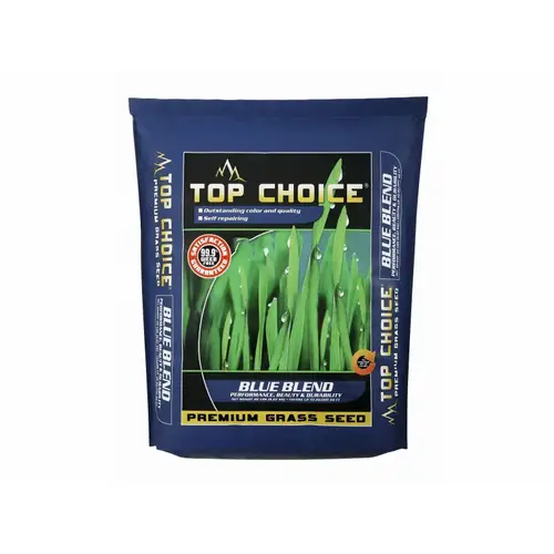 Mvs Top Choice Seed Blue Blend Ky Bluegrass 20#