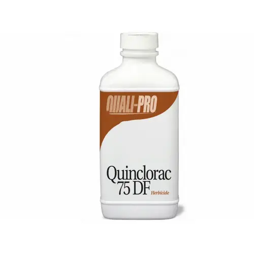 Quali-pro 1# Quinclorac 75df Herbicide Quali-pro 1# Quinclorac 75df Herbicide