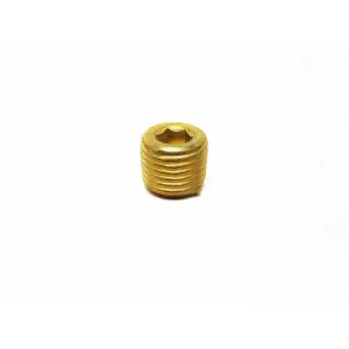 .25" Brass Plug For Martin 600/c-series Pumps .25" Brass Plug For Martin 600/c-series Pumps