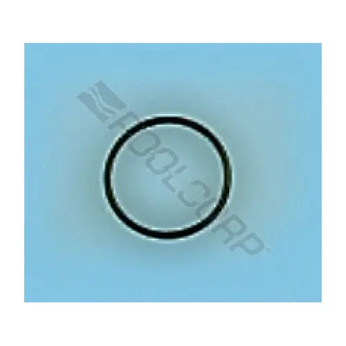 47035746r Suction Flange Oring 47035746r Suction Flange Oring