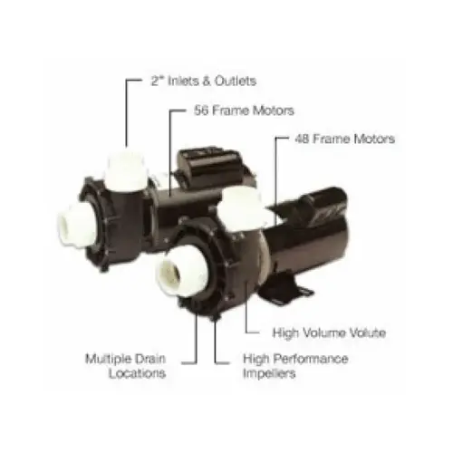 1hp 115v 2sp 10.5a 2" 48fr Xp2 Pump