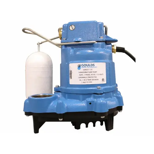 Goulds 1/3hp Eff Pump Cast Iron 25' Goulds 1/3hp Eff Pump Cast Iron 25'