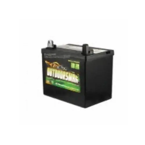 Tri-state Battery Garden Battery Lh