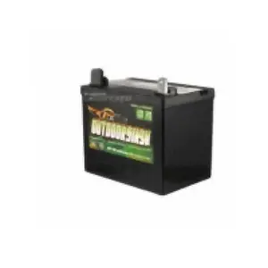 TSB TRI-STATE BATTERY 10U1R Tri-state Battery Garden Battery Rh