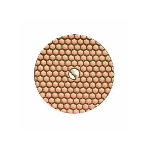 Dia Polishing Pad 100 Grit 5"
