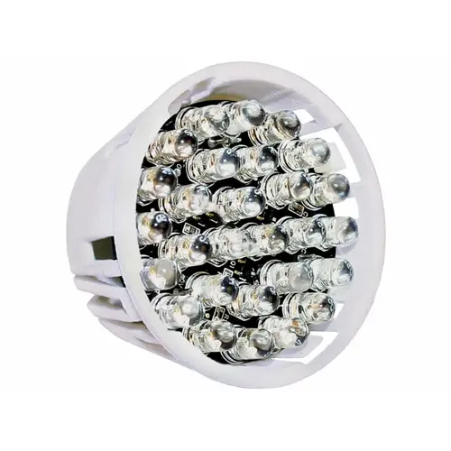 Little Giant 566224 Bulb