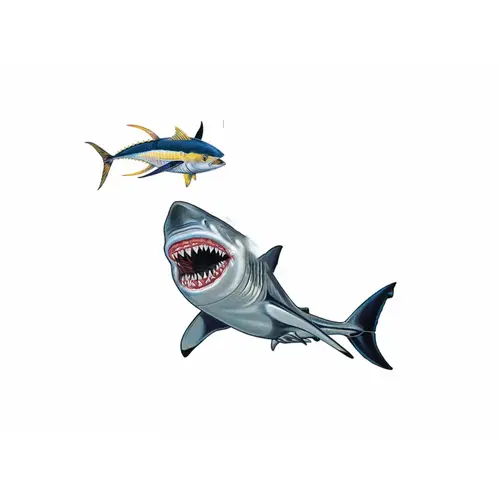Porcelain Shark Group Porcelain Shark Group