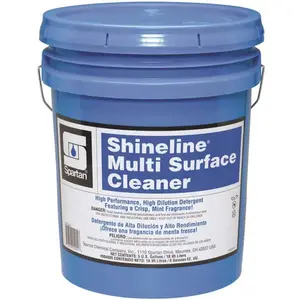 Shineline Multi Surface Cleaner 004005 Shineline 5 Gallon Mint Scent Multi-Surface Cleaner Green