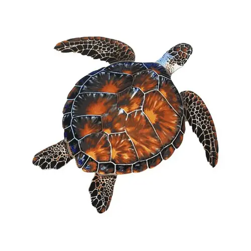 Brown Turtle 24"x24"