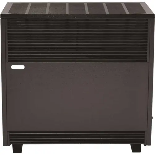 65,000 BTU Enclosed Front Liquid Propane Gas Room Heater Black