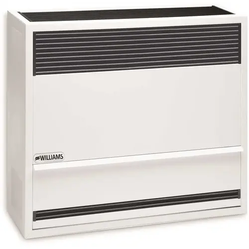 Williams 22,000 BTU Direct Vent Gravity Natural Gas Heater with High Altitude Orifices Soft White