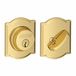 Bright Brass