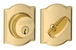 Bright Brass