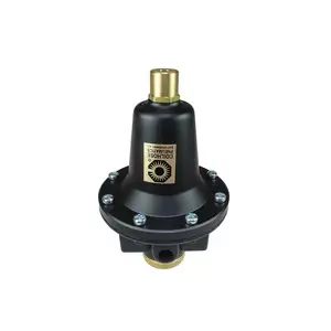Coilhose 8804K Compressed Air Regulator: 1/2" NPT, 250 Max psi, Tamper Proof Heavy-Duty T-Handle