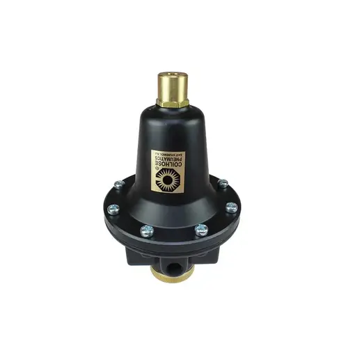 Compressed Air Regulator: 1/2" NPT, 250 Max psi, Tamper Proof Heavy-Duty T-Handle