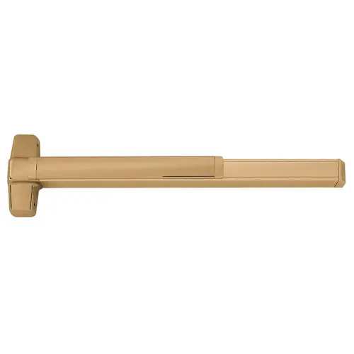 Delayed Egress Exit Device Satin Bronze Clear Coated Delayed Egress Exit Device Satin Bronze Clear Coated