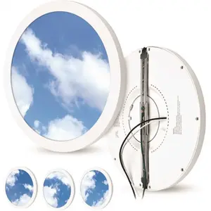 BEYOND LED TECHNOLOGY Z-153753 The Sky Downlight Light Round 12 in. 10000K Integrated LED Recessed Light Blue and White