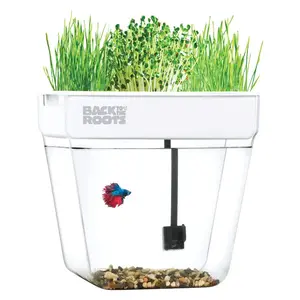 Back to the Roots 32000 Grow Kit Water Garden Assorted Flower and Herb