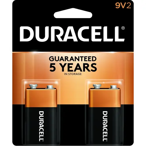 CopperTop 9V Alkaline Battery (2-Pack)