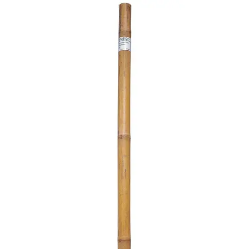 Plant Stake 6 ft. H X 1" W Brown Bamboo Brown