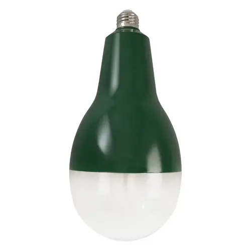 LED Bulb BR40 E26 (Medium) Warm White 50 Green/White LED Bulb BR40 E26 (Medium) Warm White 50 Green/White