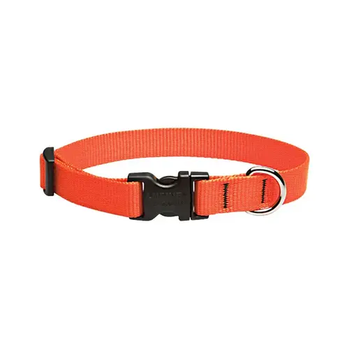 Adjustable Collar Basic Solids Blaze Orange Blaze Orange Nylon Dog Blaze Orange Adjustable Collar Basic Solids Blaze Orange Blaze Orange Nylon Dog Blaze Orange