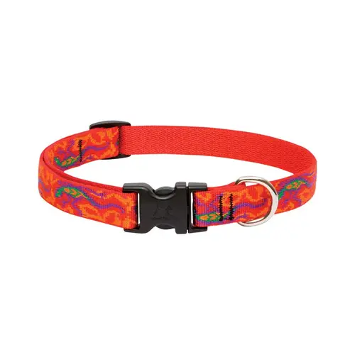 Adjustable Collar Original Designs Multicolor Go Go Gecko Nylon Dog Multicolor