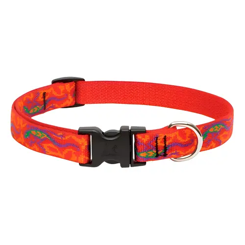 Adjustable Collar Original Designs Multicolor Go Go Gecko Nylon Dog Multicolor Adjustable Collar Original Designs Multicolor Go Go Gecko Nylon Dog Multicolor