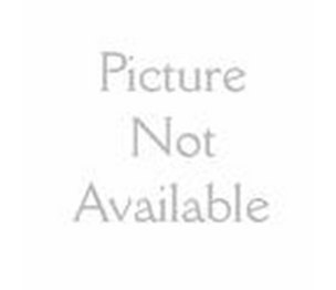 U S FOAM CORP NPT-FOAM1283 Foam 12x8x3 Each